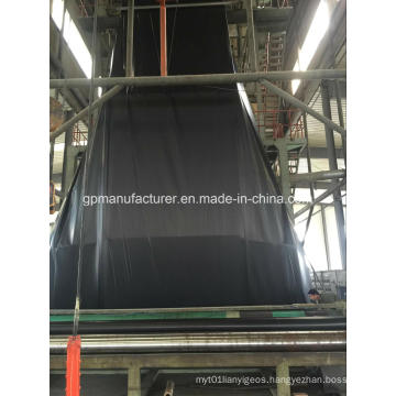 HDPE Geomembrane for Salt Project